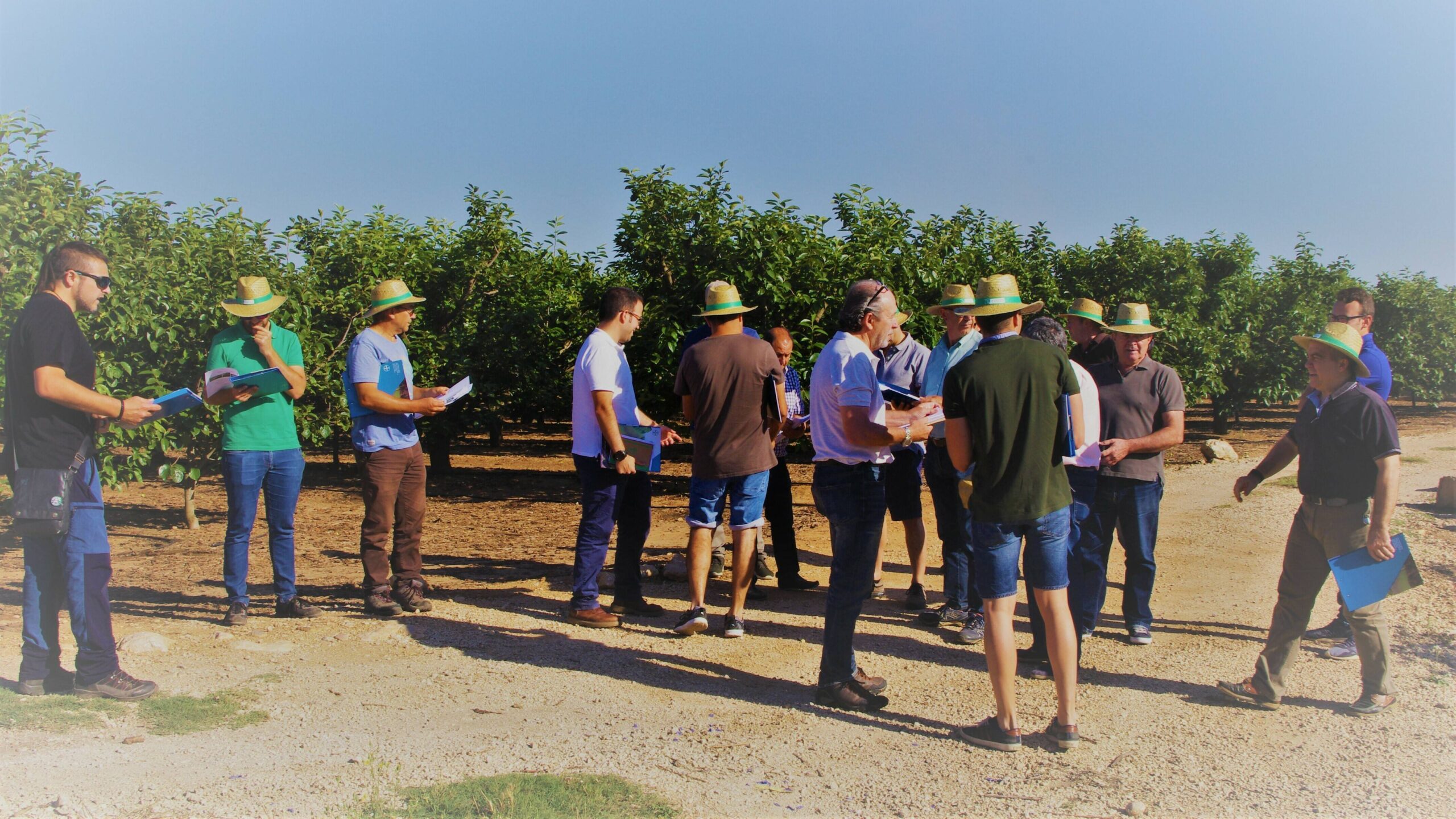 180702_Fotonoticia_MoventoGold|rosewood-1758783_960_720|Bayer-Brandtag_Movento